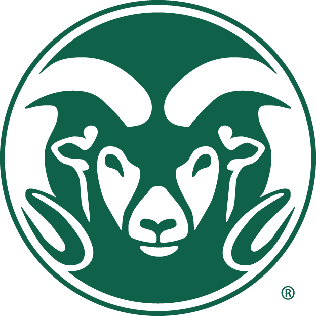 Colorado State Rams 1993-2014 Alternate Logo v2 iron on transfers for T-shirts